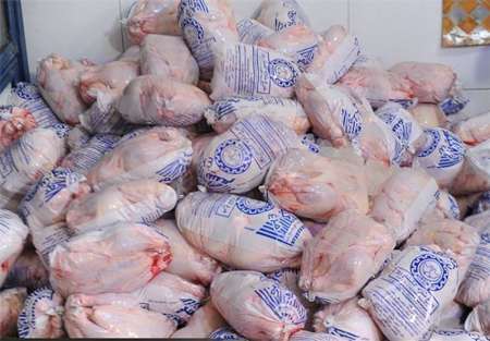 توزیع 700 تن مرغ منجمد در سیستان و بلوچستان آغاز شد