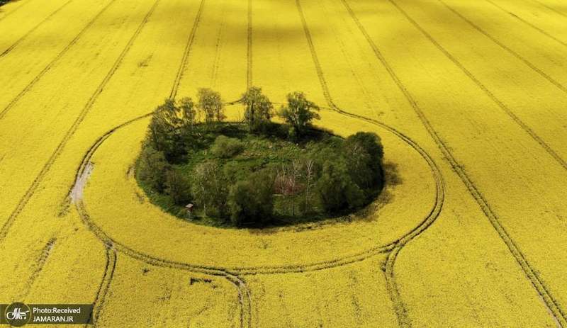 منتخب تصاویر امروز جهان- 4 خرداد 1400