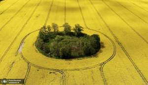 منتخب تصاویر امروز جهان- 4 خرداد 1400