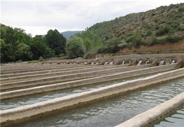 طرح پرورش ماهیان خاویاری در گچساران آماده بهره برداری است