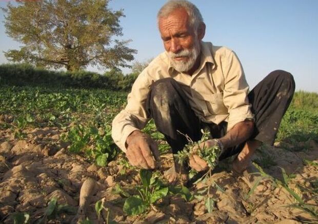 کمپین «روستای بدون کرونا» در یزد راه اندازی شد