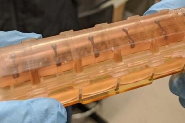 قلب انسان در فضا ۵ برابر سریع‌تر پیر می‌شود
