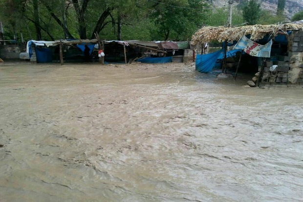 4 خانوار عشایری کهگیلویه گرفتار سیل شدند