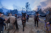 آتش سوزی در لس آنجلس آتش سوزی در کالیفرنیا (13)