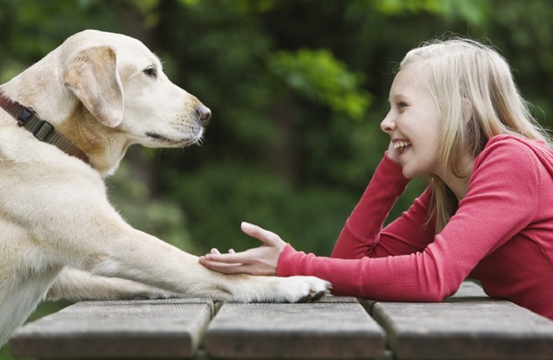 یک پروژه بحث‌برانگیز؛ ارتباط جدید بین انسان‌ها و حیواناتشان از طریق هوش مصنوعی