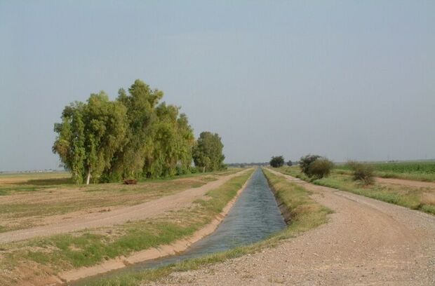 افزایش ۴۴ درصدی ثبت قرارداد آب محصولات زمستانه در شمال خوزستان
