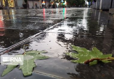 باران ۱۱ شهرستان خراسان رضوی را فراگرفت