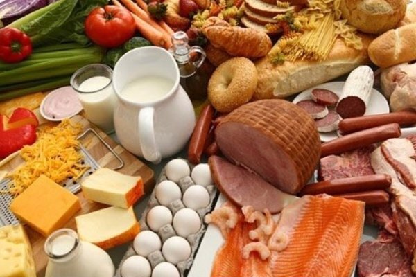 رونمایی از ۴ دستاورد پژوهشی در زمینه صنایع غذایی