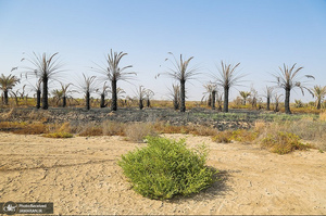 منتخب تصاویر امروز جهان- 8 مرداد 1400