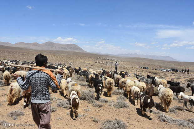 تاخیر کوچ بهاره عشایر در راستای پیشگیری از شیوع ویروس کرونا