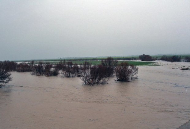هواشناسی از احتمال سیلاب در  استان تهران خبر داد