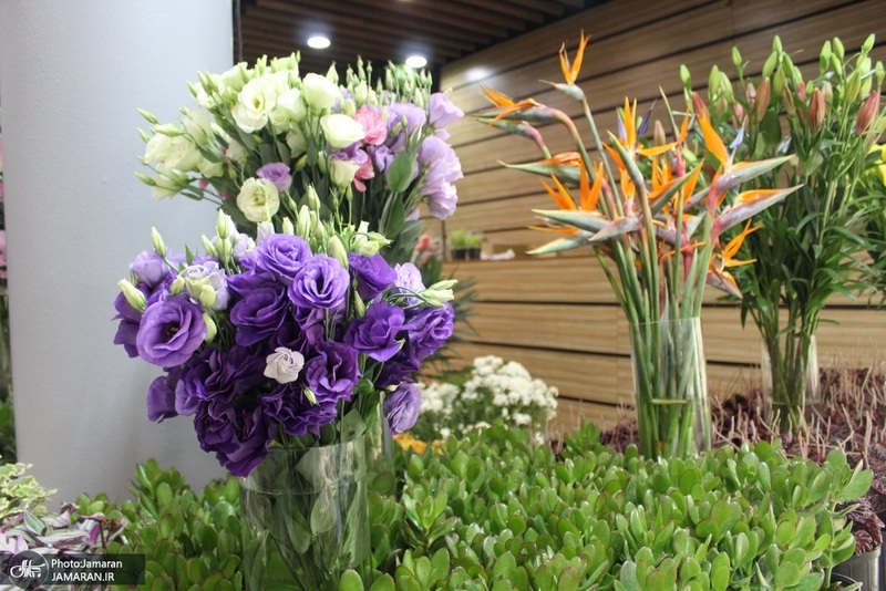 نمایشگاه گل و گیاه (71)