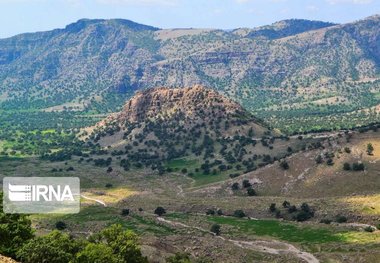 طرح حفاظت از بذور گیاهان مرتعی در استان مرکزی انجام شد