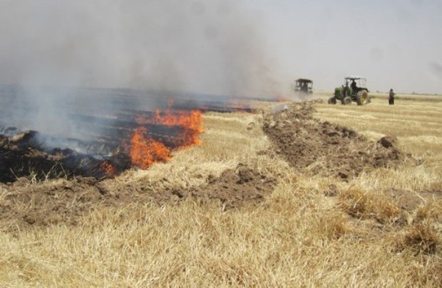 آتش زدن پس مانده محصولات در عرصه مزارع غیرقانونی است