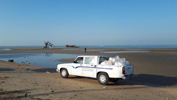 آلودگی ناشی از شناور به گل نشسته در ساحل بوشهر پاک سازی شد