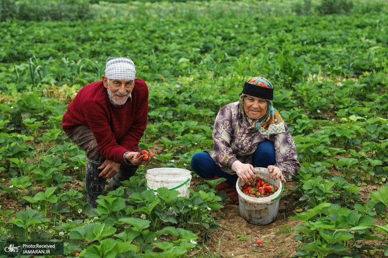 منتخب تصاویر امروز جهان - 14 اردیبهشت 1401