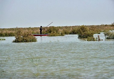 امسال سالی پر آب برای هامون بود