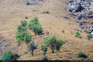 مسیر روستای سنگان تا آبشار سنگان 