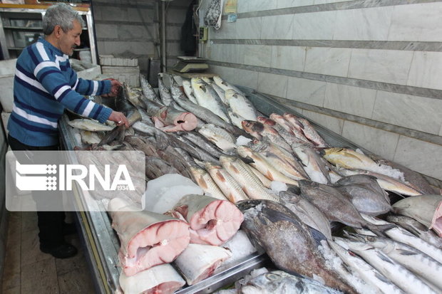 مرغ به جای ماهی در سفره صیادان