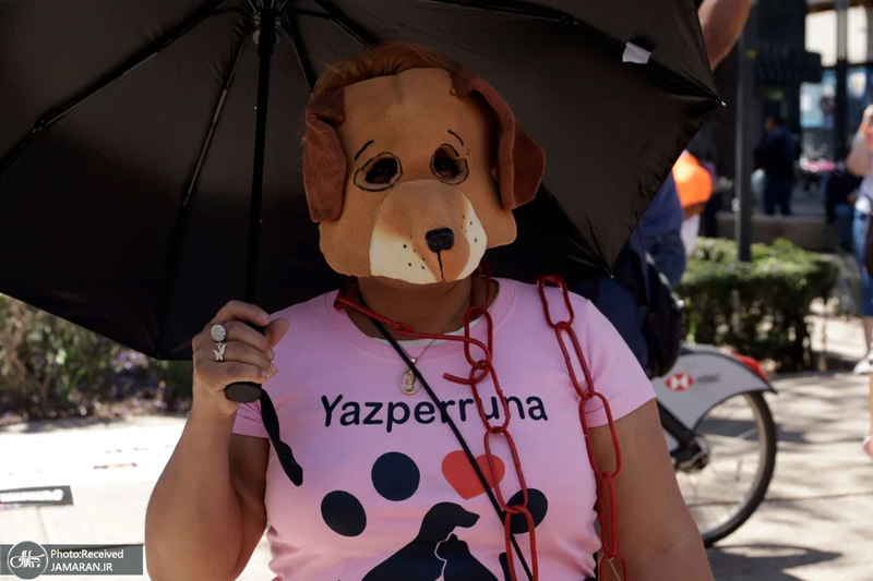 منتخب تصاویر امروز جهان - 12 فروردین 1404