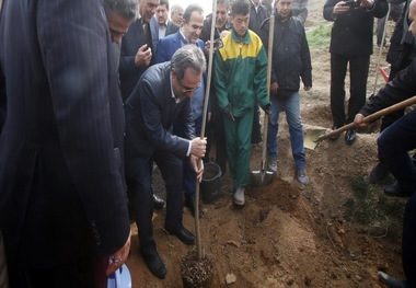 استان تهران به لحاظ عرصه منابع طبیعی و جنگل‌کاری فقیر است