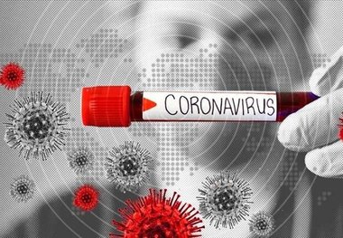 ثبت ۱۹ مورد جدید ابتلا به کرونا در زنجان