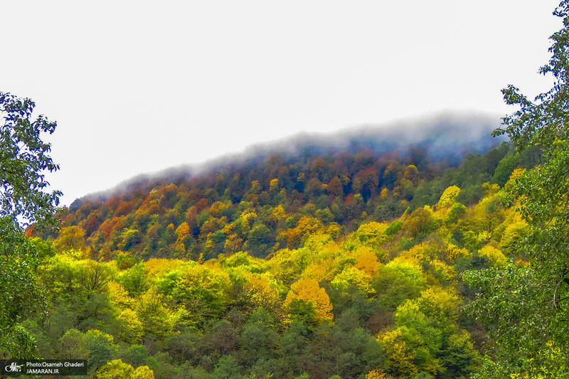 آبشار لونک دیلمان