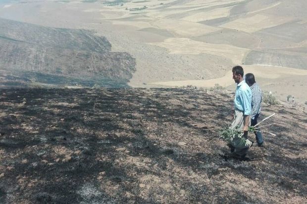 آتش سوزی در مراتع مسجدسلیمان مهار شد