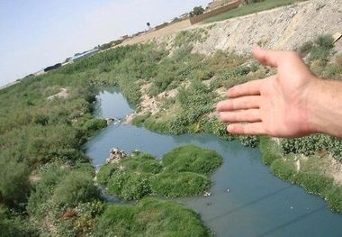 ۱۸۰ هکتار از محدوده کشف رود درختکاری شد