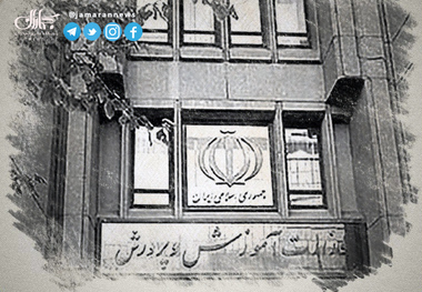 سقوط دانش آموز از کوه به خاطر شبکه شاد؟/ آموزش و پرورش: برای چیدن گل زعفران رفته بود! + عکس