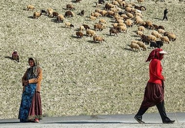 فقر مطالعات فرهنگی و اجتماعی درباره عشایر فارس