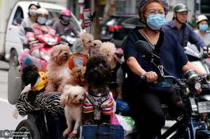  منتخب تصاویر امروز جهان- 8 اردیبهشت 1400 