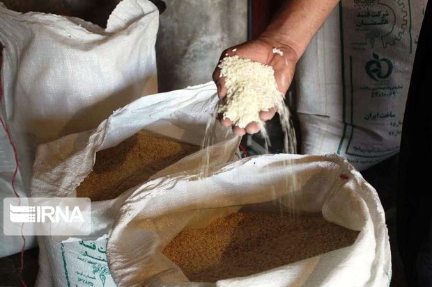 ۳۰ تن برنج مخلوط محلی در مازندران کشف شد