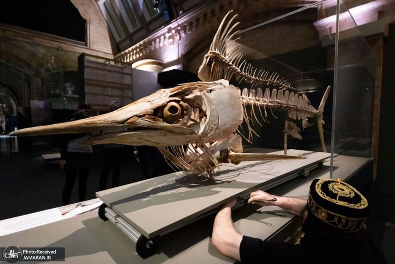 منتخب تصاویر امروز جهان- 24 اردیبهشت 1400