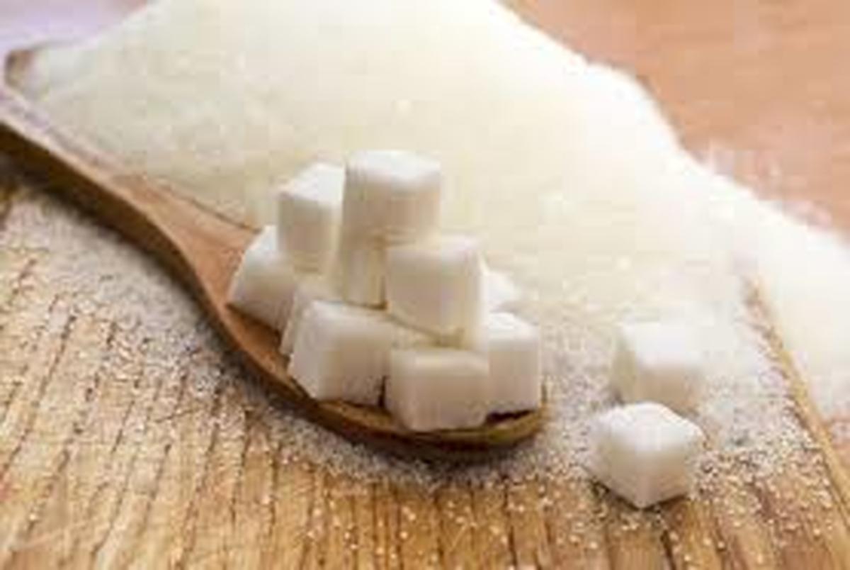 «حجتی» واردات شکر را تایید کرد