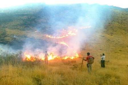 آتش پنج هکتار از مراتع ارتفاعات چلم کوه مازندران  را خاکستر کرد