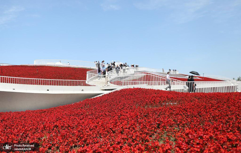 منتخب تصاویر امروز جهان- 2 خرداد 1400