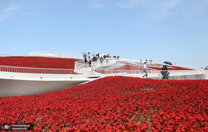 منتخب تصاویر امروز جهان- 2 خرداد 1400