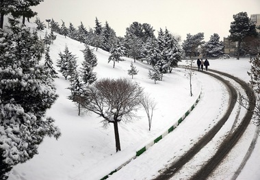 بارش برق ارتباط 60 روستای شهرستان جوانرود را قطع کرد