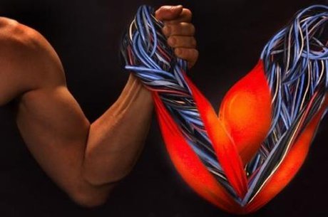 حافظه عضله چیست؟‌