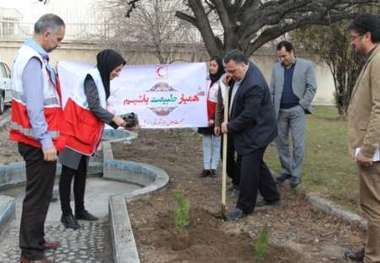 امدادگران اردبیلی نهال صلح کاشتند