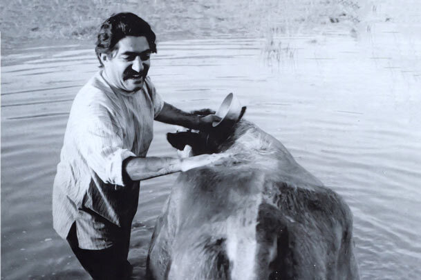 نظر تاریخی امام در باره فیلم «گاو» داریوش مهرجویی/ سخنی که درهای سینماهای ایران را دوباره گشود