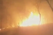  آتش‌سوزی در جنگل‌های رضوانشهر و تالش 