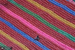 منتخب تصاویر امروز جهان - 3 فروردین 1401