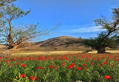 بکاول، روستایی از دل تاریخ و طبیعت با جاذبه های دلکش