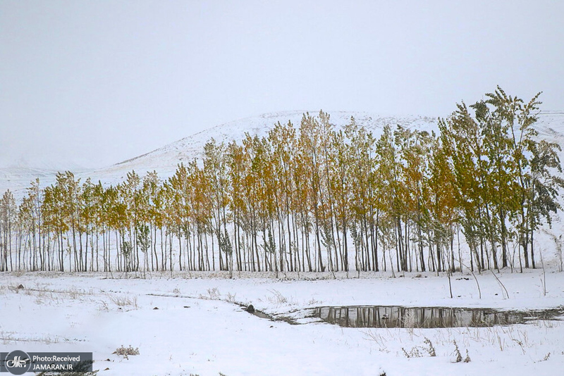 منتخب تصاویر امروز جهان- 8 آبان 1400