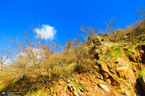 طبیعت بکر و بی‌نظیر نودشه