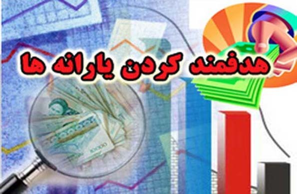 گزارش دولت از عملکرد سازمان هدفمندی یارانه‌ها