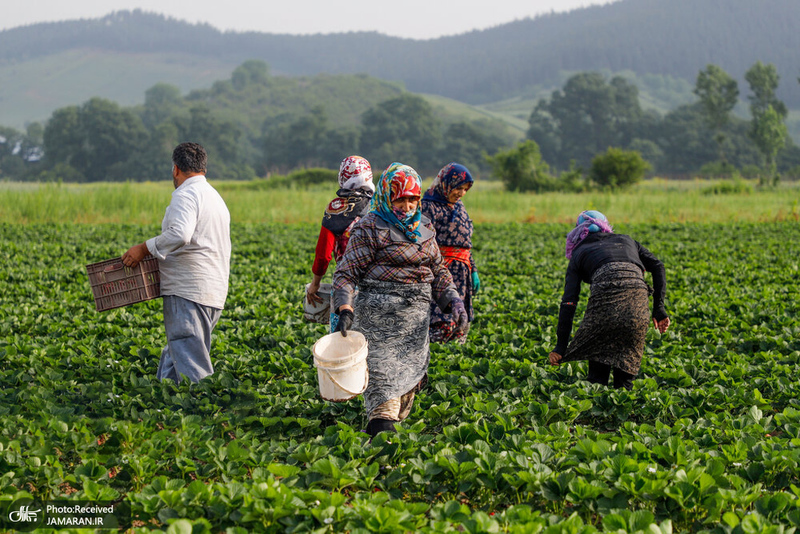 منتخب تصاویر امروز جهان- 11 اردیبهشت 1400
