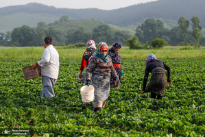 منتخب تصاویر امروز جهان- 11 اردیبهشت 1400